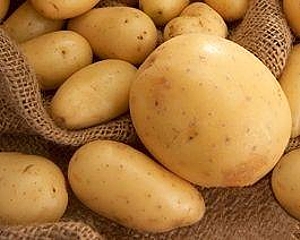 6_картопля
