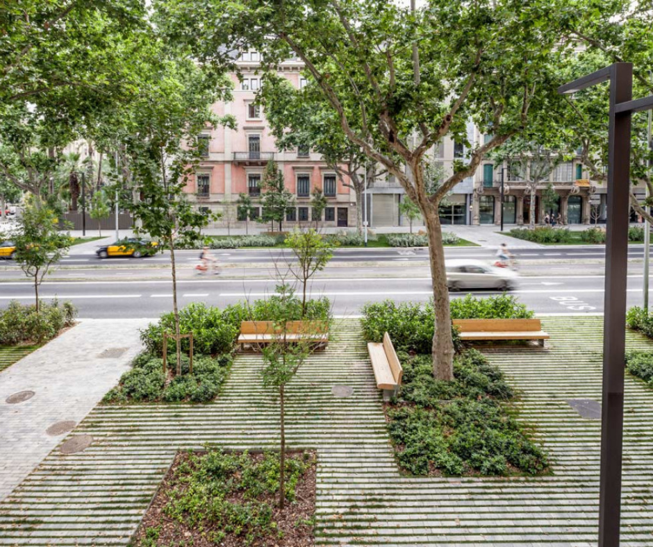 Як міські дерева та зелені коридори  регулюють клімат: досвід Барселони