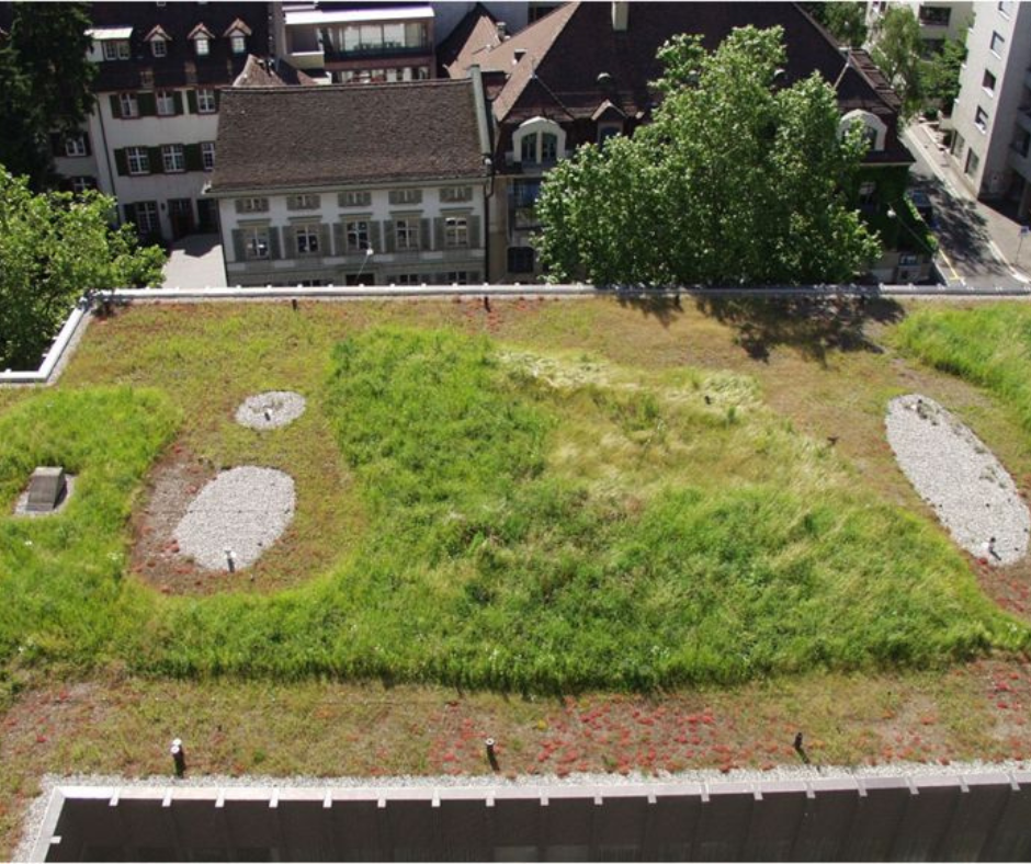 Зелені дахи в Базелі, Швейцарія: поєднання заходів пом’якшення зміни клімату та адаптації до неї