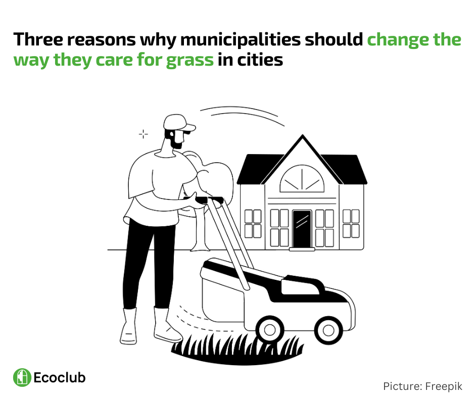 Three reasons why municipalities should change the way they care for grass in cities