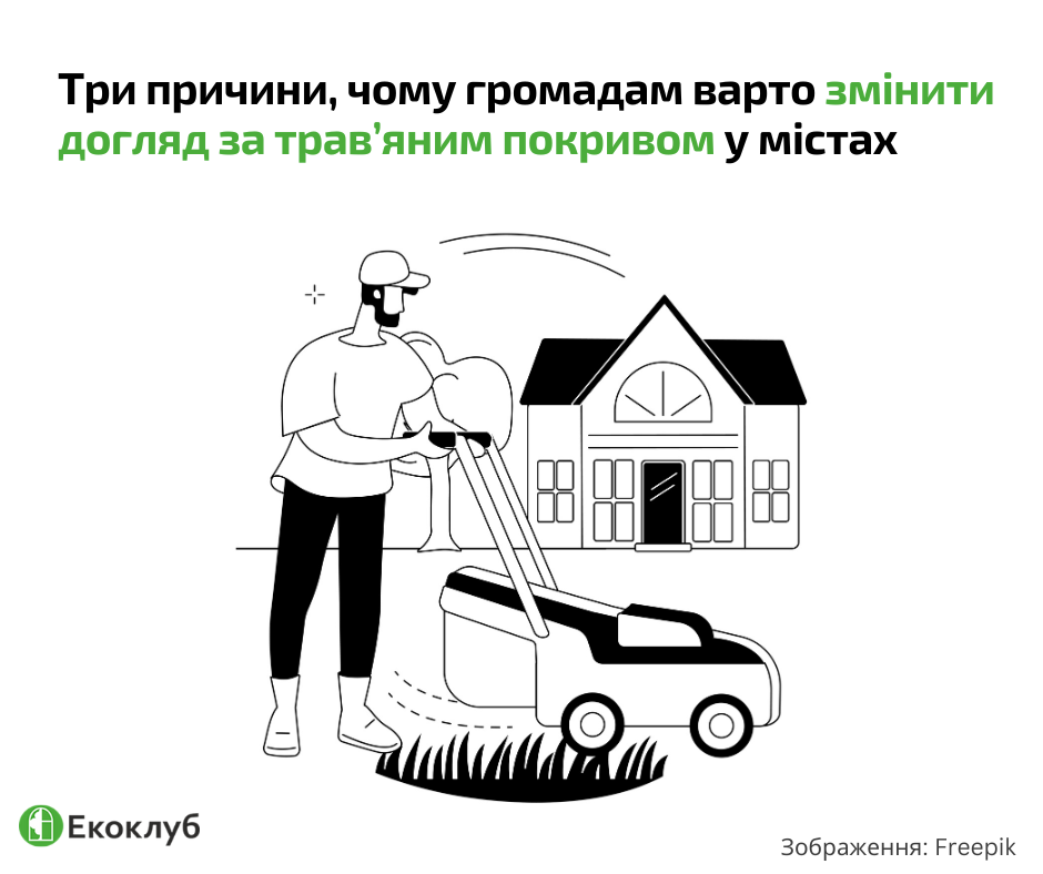 Три причини, чому українським громадам варто змінити догляд за трав’яним покривом у містах