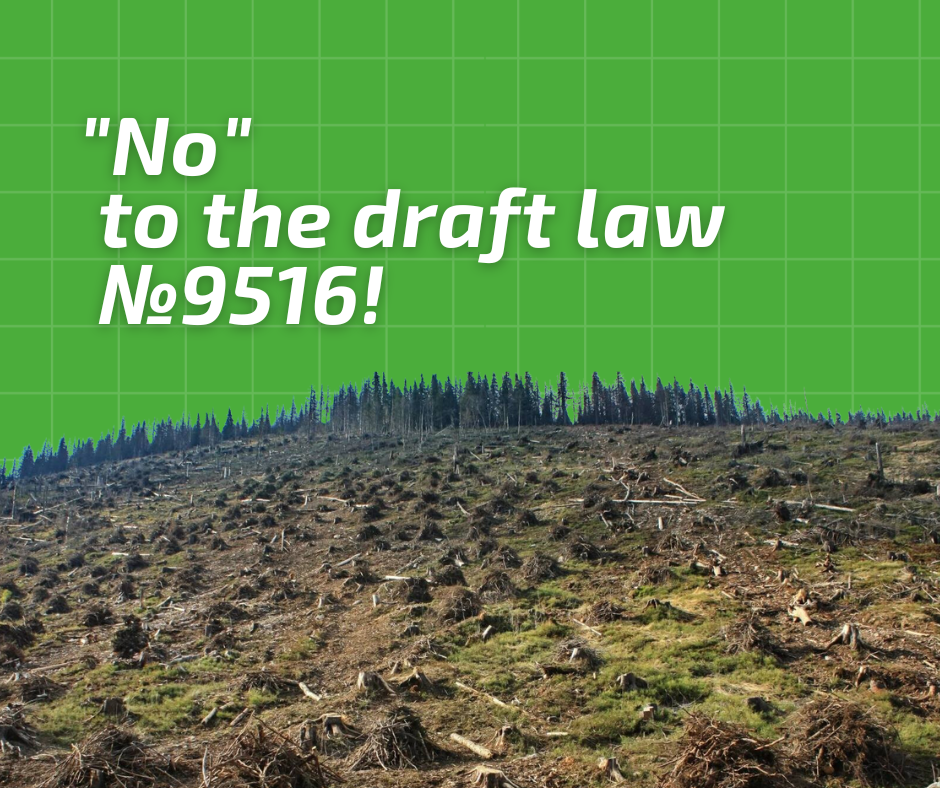 A draft law is under consideration, the adoption of which will lead to uncontrolled deforestation