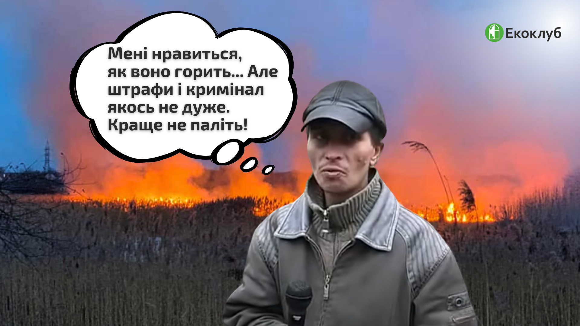 Чому спалювати сухостій – шкідливо та небезпечно?