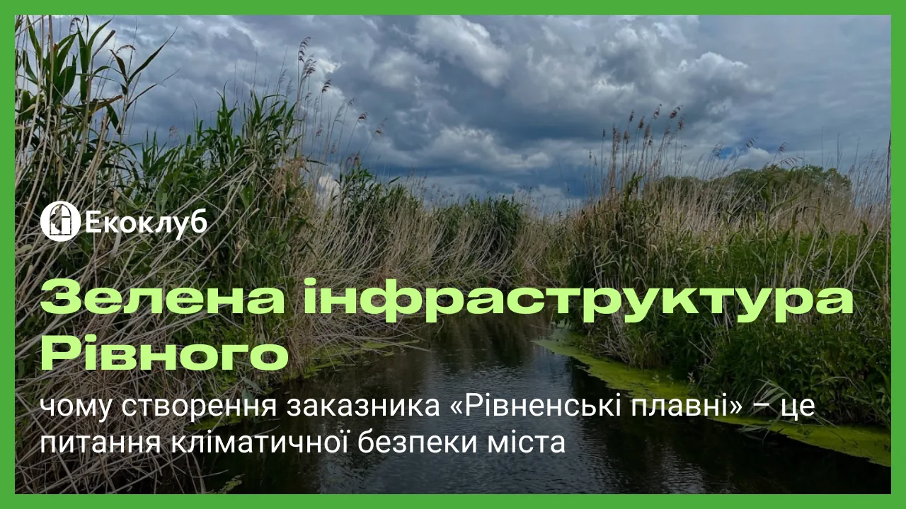 Зелена інфраструктура Рівного: чому створення заказника «Рівненські плавні» – питання кліматичної безпеки міста